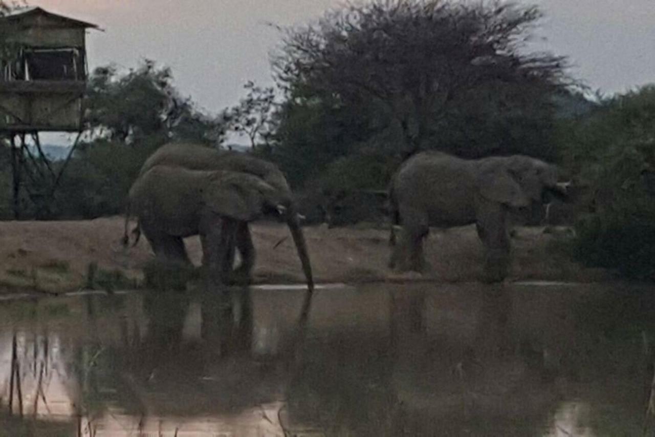 Villa Kubu Khaya Mabalingwe Mabula Game Reserve Esterno foto