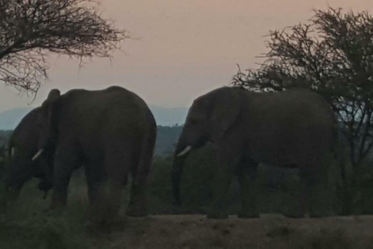 Villa Kubu Khaya Mabalingwe Mabula Game Reserve Esterno foto